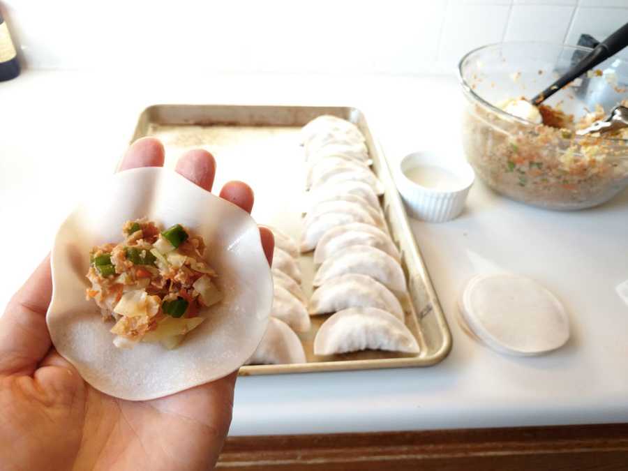 Vegan 'Pork' and Cabbage Dumplings East Meets Kitchen